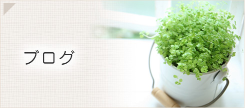 ブログ
